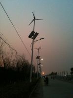 Sell  solar and wind hybrid street light
