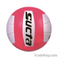 Sell Traditional 18 panel Volleyball SV523