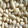 Sell Japanese white kidney beans, round shape
