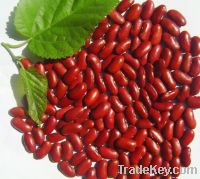 Sell  Chinese dark red kidney beans