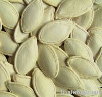 Sell 2011 crop raw shine skin pumpkin seeds
