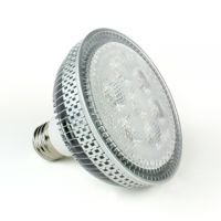 LED PAR Lamp (PAR30, PAR38)