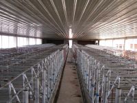 Sell animal cage pig cage