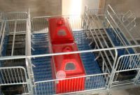 Sell pigsty pig cage