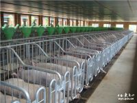 Sell livestock cage pigsty