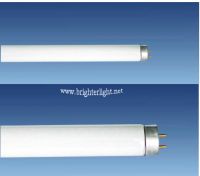 T5 compact fluorescent tube