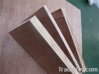 Sell commercial plywood for furniture