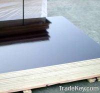 Sell brown film faced plywood for construction