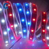 LED flexible lights