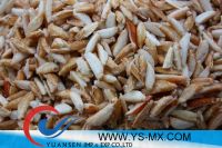 Sell Frozen Crab Claw Meat