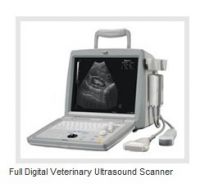 Sell  Vet Full Digital Veterinary Ultrasound Scanner OSEN880