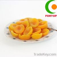 Sell Canned Apricot
