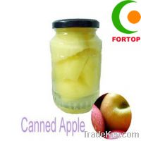 Sell Canned Apple