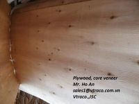 Sell Eucalyptus Core veneer