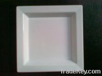 Plastic Square Plate