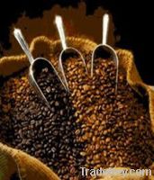 Export Coffee Beans | Arabica Coffee Beans Suppliers | Robusta Coffee Beans Exporters | Coffee Bean Traders | Wholesale Coffee Beans | Buy Coffee Beans | Bulk Coffee Bean | Green Coffee Bean Buyer | Low Price Roasted Coffee Bean | Import Coffee Bean | Cof