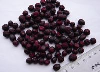 Sell freeze dried blueberry whole