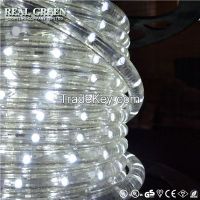 220V 2-Wire Standard Pure White LED Rope Light