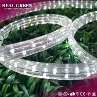 2-Wire Flat Cool White LED Rope Light