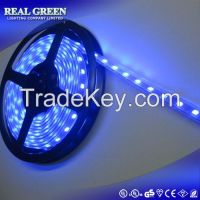 12V Flexible LED strip light