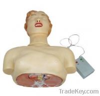 Sell Basic CPR Training Model (Half Body)