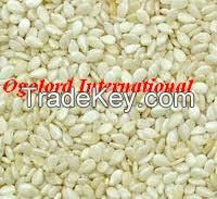 NATURAL WHITE SESAME SEEDS