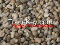 2015 CASHEW NUTS is available for immediate shipment