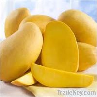 Sell organic fresh mangoes