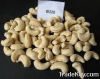 Sell cashew nuts w240 w320 w450 ws