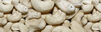 Sell cashew nuts kernel w320 w240