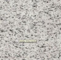 Sell Camelia white granite(Tile, Slat)