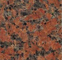 Sell G562 maple red granite