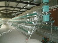 Sell chicken cage supplier