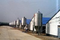 Sell hopper bottom steel silo for rice storage