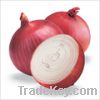 Sell  Fresh red onion