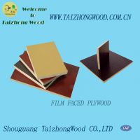 Sell High Quality Film Faced Plywood 02