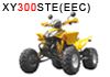 Sell ATV300STE