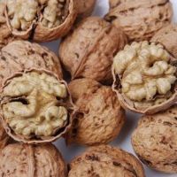 Sell Wholesale - Thin skin walnut