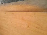 Sell Birch Plywood best quality by prime fortune Plywood