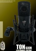 Sell Professional Tube Condenser Microphone (TM-3000)