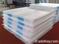 Sell Pocket Springs for Mattresses or Sofa, Cushion