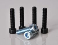 Sell  socket bolts