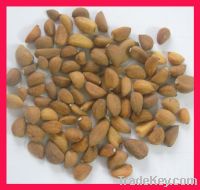 Sell 2011 new year dehydrated garlic clove