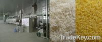 Artifical Rice Machinery