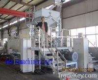 Floating Fish feed processing line