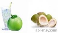 Sell Coconut Fruit Puree