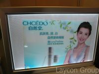 LED Advertising Light Box