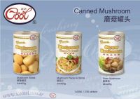 Mushroom series (whole mushroom, pieces and straw mushroom)