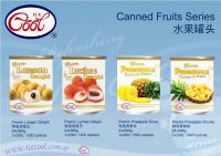 Canned Fruits (pineapple, lychee, fruit cocktail, peaches etc)