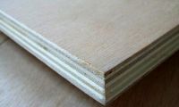 Sell plywood/okoume plywood